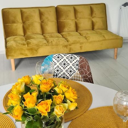 Studio Ayan Mamaia Luaran gambar