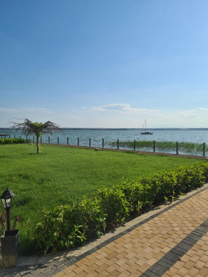 Studio Ayan Mamaia Luaran gambar